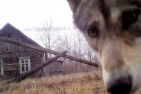 7 необъяснимых явлений Чернобыля случайно угодивших в кадр