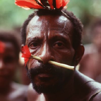 В 1973 году документалисты шли по Амазонии и встретили народ, который никогда не видел других людей. Реакция на видео