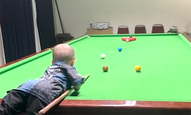 Двухлетний гений стал чемпионом мира по бильярду. Играет лучше чем ходит